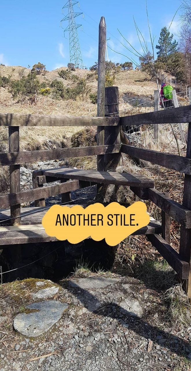 8c74a6c4-d1f5-4571-975b-18d63c474ddf