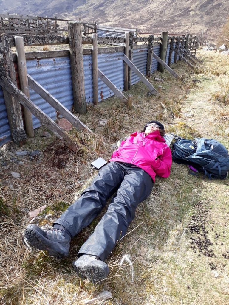 b9853617-ca17-4df4-a34d-a1bfb48f2ccf