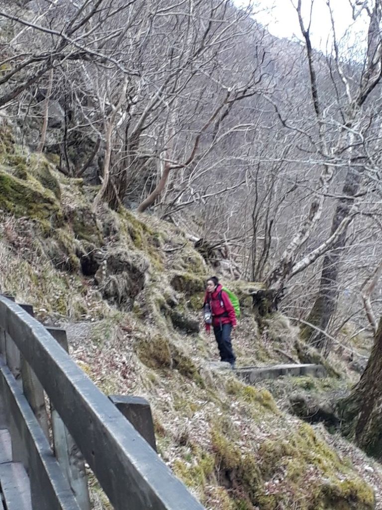 cca0f3c0-ac70-4f33-acc2-c910363d4ab4