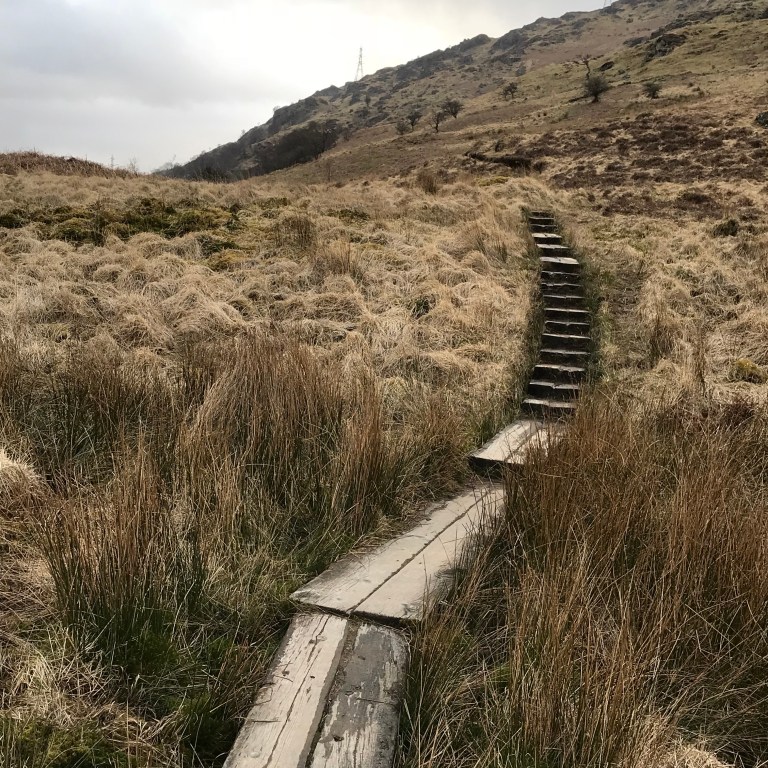 %d+ebseXTRq%j74%QrTTEQ