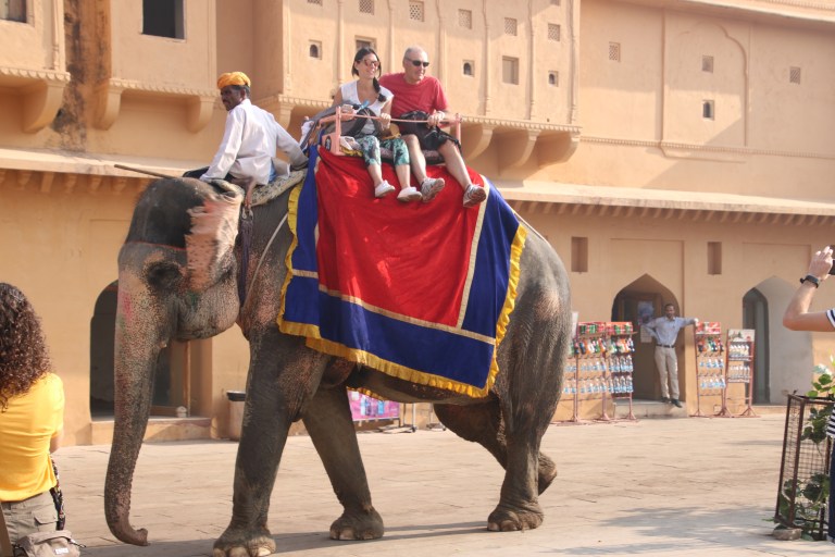 2731dbb9-70e9-4245-b721-d157cc29d1ce