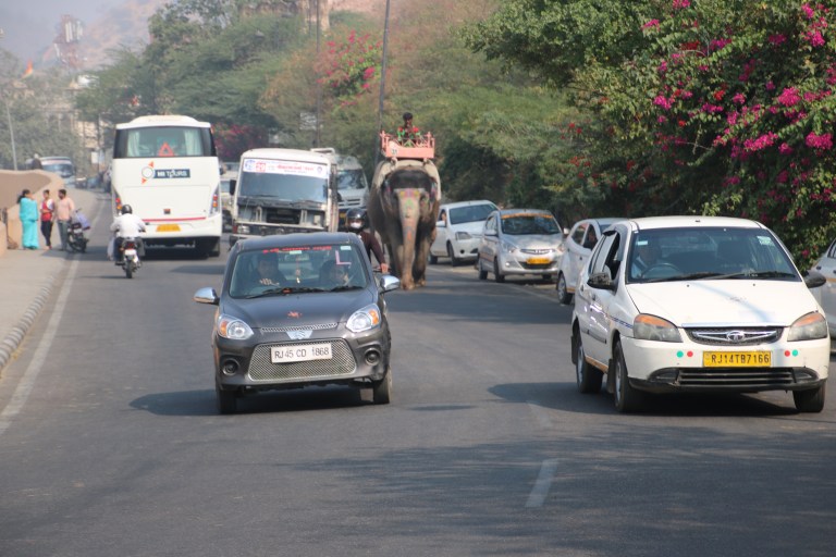 8fbd9213-239a-4691-b669-019bd3513f82